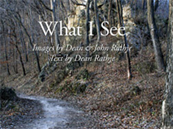 What I See Cover